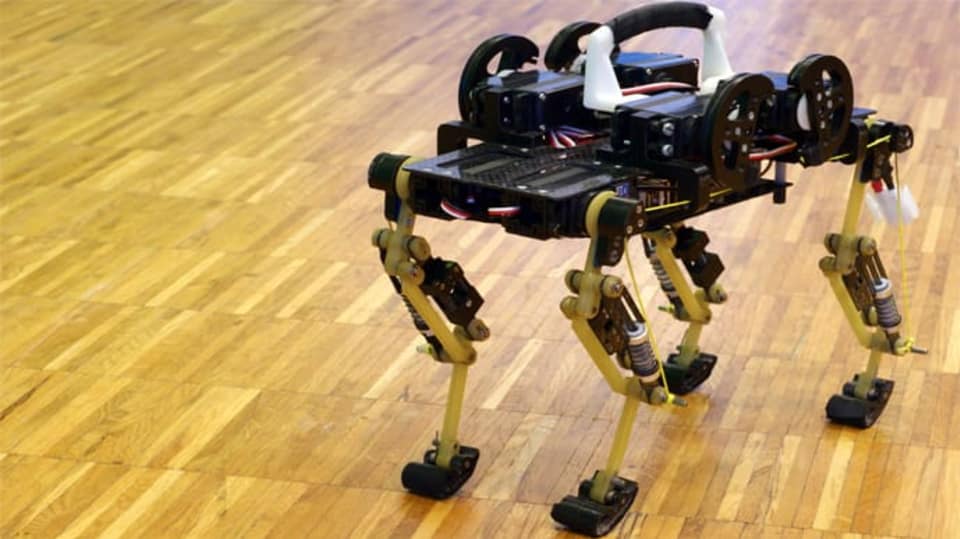 Biobot